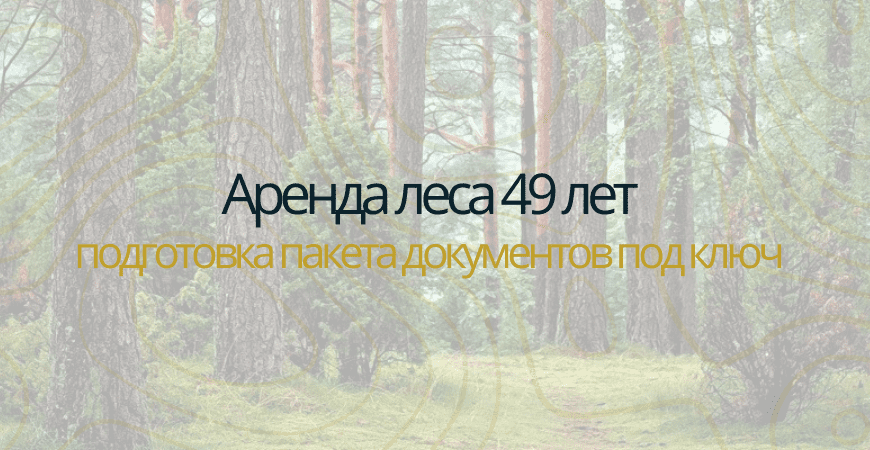 Аренда леса на 49 лет в Истре и Истринском районе